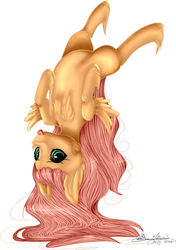 Size: 671x951 | Tagged: safe, artist:ohflaming-rainbow, oc, oc only, oc:sunshine apple shy, pegasus, pony, colt, male, offspring, parent:big macintosh, parent:fluttershy, parents:fluttermac, simple background, solo, tongue out, upside down, white background