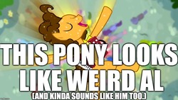 Size: 1024x576 | Tagged: safe, edit, edited screencap, screencap, cheese sandwich, g4, pinkie pride, accordion, background pony strikes again, captain obvious, image macro, impact font, meme, musical instrument, no shit sherlock, op is a slowpoke, slowpoke, solo focus, weird al yankovic, you don't say