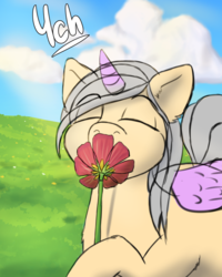 Size: 1920x2400 | Tagged: safe, artist:mintjuice, pony, advertisement, cloud, commission, field, flower, pleasure, sky, sniffing, solo, sunny day, your character here