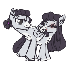 Size: 651x620 | Tagged: safe, artist:harusocoma, oc, oc only, pegasus, pony, female, male, mare, one eye closed, scar, siblings, simple background, stallion, transparent background, twins, wink