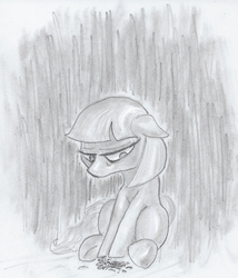 Size: 652x761 | Tagged: safe, artist:t72b, derpibooru exclusive, coco pommel, earth pony, pony, g4, female, flower, looking down, monochrome, sad, sitting, solo, traditional art