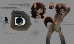 Size: 4572x2732 | Tagged: safe, artist:pacofreeman, oc, oc only, oc:mara, pegasus, pony, alternate hairstyle, close-up, heterochromia, reference sheet, text