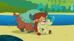 Size: 1920x1080 | Tagged: safe, screencap, sandbar, yona, pony, yak, g4, school daze, beach, cloven hooves, color correction, cute, eyes closed, female, lake, male, out of context, sandabetes, shipping fuel, size difference, smaller male, smiling