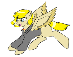 Size: 2896x2246 | Tagged: safe, artist:jolliapplegirl, oc, oc only, oc:sophie, pegasus, pony, clothes, female, high res, mare, prize, simple background, solo, white background