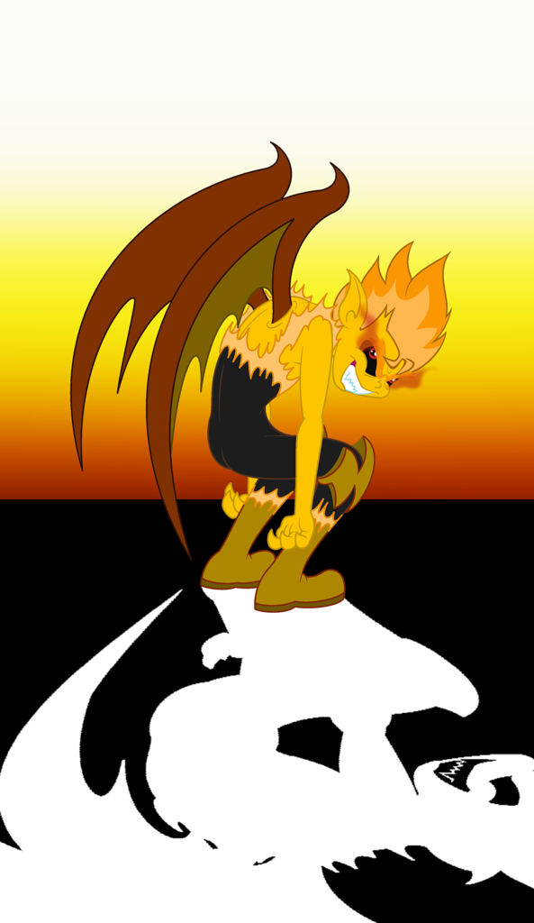 flash sentry