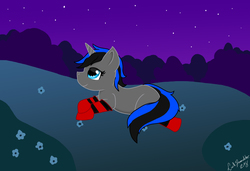 Size: 2276x1558 | Tagged: safe, artist:lucill-dreamcatcher, oc, oc only, pony, clothes, flower, night, socks, solo, stars, striped socks
