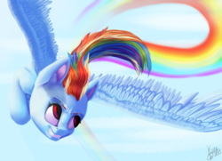 Size: 5000x3623 | Tagged: safe, artist:ksun1972, rainbow dash, pegasus, pony, g4, colored eyebrows, female, flying, grin, mare, rainbow trail, smiling, solo, spread wings, windswept mane, wings