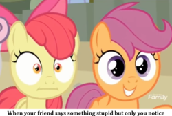 Size: 1024x688 | Tagged: safe, edit, edited screencap, screencap, apple bloom, scootaloo, sweetie belle, g4, surf and/or turf, :i, cutie mark crusaders, image macro, meme, text, when x and y