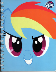 Size: 2000x2593 | Tagged: safe, rainbow dash, g4, face, high res, irl, looking at you, notebook, photo, scanned