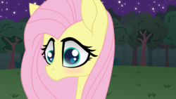 Size: 1024x576 | Tagged: safe, artist:galacticflashd, fluttershy, pony, g4, cute, everfree forest, female, shyabetes, solo