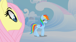 Size: 1024x561 | Tagged: safe, artist:galacticflashd, fluttershy, rainbow dash, pegasus, pony, g4, cloudsdale, cute, dashabetes, duo, female, lidded eyes, looking at each other, mare, shyabetes, walking