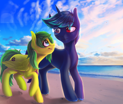 Size: 1023x866 | Tagged: dead source, safe, artist:freckleplant, oc, oc only, pegasus, pony, unicorn, beach, duo, female, male, mare, stallion