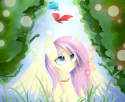 Size: 1024x835 | Tagged: safe, artist:posionjoke, fluttershy, butterfly, pegasus, pony, g4, bust, female, looking at something, looking up, mare, portrait, solo, spread wings, wings
