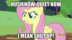 Size: 960x538 | Tagged: safe, edit, edited screencap, screencap, fluttershy, pony, fluttershy leans in, g4, angry, discovery family logo, female, hush now quiet now, image macro, meme, shut up, solo
