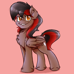 Size: 3500x3500 | Tagged: safe, artist:witchtaunter, oc, oc only, pegasus, pony, chest fluff, high res, male, simple background, smiling, solo, stallion