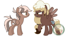 Size: 8333x4688 | Tagged: safe, artist:besttubahorse, oc, oc only, oc:chai latte, oc:sweet mocha, pegasus, pony, absurd resolution, angry, freckles, raised hoof, simple background, this will end in a fight, transparent background, vector, watermark