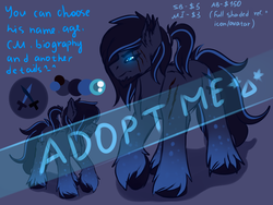 Size: 3000x2250 | Tagged: safe, artist:fkk, oc, oc only, pony, adoptable, auction, commission, cutie mark, high res, male, reference sheet, solo, stallion, unshorn fetlocks, ych example, your character here