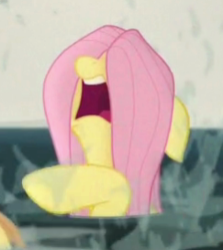 Size: 243x273 | Tagged: safe, screencap, fluttershy, pegasus, pony, g4, my little pony: the movie, cropped, female, hair over eyes, mare, open mouth, solo, wet mane