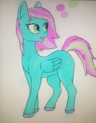 Size: 3007x3847 | Tagged: safe, artist:verbose, oc, oc only, oc:candy storm, pegasus, pony, female, high res, mare, open mouth, solo, unshorn fetlocks