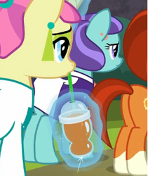Size: 272x322 | Tagged: safe, screencap, carbon fizz, mixed berry, stellar flare, earth pony, pony, unicorn, g4, the parent map, background pony, butt, clothes, cropped, cutie mark, dress, ear piercing, earring, female, jewelry, piercing, plot, smoothie
