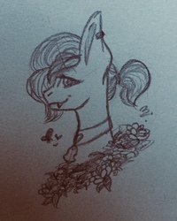 Size: 1234x1544 | Tagged: safe, artist:cappuccino coco, oc, oc only, oc:crescent, bat pony, pony, bust, female, monochrome, portrait, quick sketch, solo, traditional art