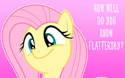 Size: 480x300 | Tagged: safe, fluttershy, pony, g4, female, gradient background, misspelling, solo