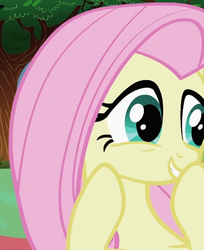 Size: 441x541 | Tagged: safe, screencap, fluttershy, pegasus, pony, g4, lesson zero, my little pony: friendship is magic, season 2, boop, cropped, cute, female, giggling, mare, self-boop, solo