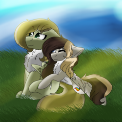 Size: 2560x2560 | Tagged: safe, artist:brokensilence, oc, oc:auctor, oc:misty serenity, pegasus, pony, chest fluff, couple, female, high res, male, mistor, shipping, straight