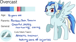 Size: 1518x853 | Tagged: safe, artist:kianamai, oc, oc only, oc:overcast, pegasus, pony, kilalaverse ii, female, mare, next generation, offspring, parent:rainbow dash, parent:soarin', parents:soarindash, raised hoof, simple background, solo, transparent background