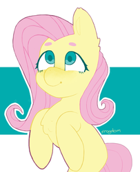 Size: 1024x1263 | Tagged: safe, artist:frog-dom, fluttershy, pony, g4, cute, female, looking up, mare, missing cutie mark, shyabetes, smiling, solo, wingless