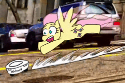Size: 1500x1000 | Tagged: safe, artist:threetwotwo32232, fluttershy, pegasus, pony, g4, animated, car, chase, city, city escape, crossover, female, floppy ears, flying, frown, irl, male, mare, music, open mouth, photo, rolling around at the speed of sound, roomba, roombashy, sega, sonic adventure 2, sonic the hedgehog, sonic the hedgehog (series), sound, spread wings, street, webm, wide eyes, windswept mane, wings