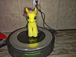 Size: 4608x3456 | Tagged: safe, fluttershy, g4, irl, photo, plushie, ponies riding roombas, riding, roomba, roombashy