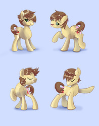 Size: 1403x1785 | Tagged: safe, artist:xbi, feather bangs, earth pony, pony, g4, male, stallion