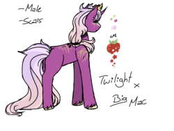 Size: 1600x1200 | Tagged: safe, artist:jaysey, oc, oc only, pony, unicorn, color palette, crown, cutie mark, jewelry, male, offspring, parent:big macintosh, parent:twilight sparkle, parents:twimac, regalia, scar, simple background, solo, stallion, transparent background, unshorn fetlocks