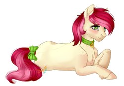 Size: 1160x804 | Tagged: safe, artist:samgf, roseluck, earth pony, pony, g4, blushing, bow, chest fluff, collar, commissioner:doom9454, digital art, ear fluff, female, fluffy, hoof fluff, lying, lying down, mare, on side, pet tag, pony pet, rosepet, simple background, solo, tail bow, unshorn fetlocks, white background