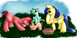 Size: 6000x3000 | Tagged: safe, artist:diouveruh, oc, oc only, oc:little dipper, oc:melody star, oc:north star, oc:wineberry, butterfly, earth pony, pegasus, pony, basket, parent:oc:north star, parent:oc:wineberry, parents:winestar, picnic, picnic basket, winestar
