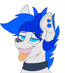 Size: 1480x1672 | Tagged: artist needed, safe, oc, oc:turquoise, dog, ahegao, awoo, barely pony related, bust, ear piercing, furry, gauges, lidded eyes, open mouth, piercing, simple background, style emulation, tongue out, tongue piercing, white background