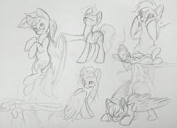 Size: 480x348 | Tagged: safe, artist:alouette-lulu, rainbow dash, pegasus, pony, g4, female, grayscale, mare, monochrome, simple background, sketch, solo, traditional art, white background
