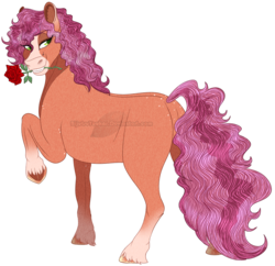 Size: 1000x969 | Tagged: safe, artist:bijutsuyoukai, oc, oc only, earth pony, pony, blaze (coat marking), coat markings, facial markings, female, flower, flower in mouth, mare, mouth hold, offspring, parent:cherry jubilee, parent:trouble shoes, parents:cherryshoes, raised hoof, rose, rose in mouth, simple background, socks (coat markings), solo, transparent background