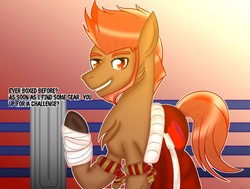 Size: 1280x968 | Tagged: safe, artist:blueprism32, pony, beard, boxer, clothes, facial hair, ponified, shorts