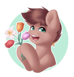 Size: 1908x2000 | Tagged: safe, artist:spirit-dude, oc, oc only, earth pony, pony, flower, male, simple background, solo, stallion, transparent background