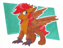 Size: 3757x2837 | Tagged: safe, artist:pzkratzer, oc, oc only, oc:ponygriff, griffon, hippogriff, hybrid, ponygriff, cute, high res, male, solo, traditional art, wings