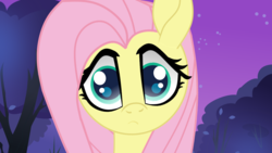 Size: 1024x576 | Tagged: safe, artist:galacticflashd, fluttershy, pony, g4, bust, curious, cute, female, looking at you, mare, portrait, shyabetes, solo