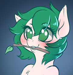 Size: 798x824 | Tagged: safe, artist:dankflank, oc, oc only, oc:dankflank, earth pony, pony, bitches love sticks, blushing, bust, chest fluff, cute, earth pony oc, femboy, gradient background, lemme smash, male, mouth hold, stallion, stick, trap, weapons-grade cute