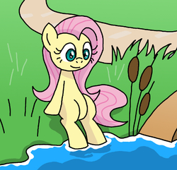 Size: 492x475 | Tagged: safe, artist:manulis, fluttershy, pegasus, pony, g4, belly, female, grass, looking down, mare, missing cutie mark, river, sitting, smiling, solo, water