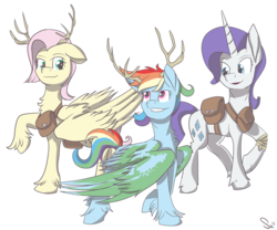 Size: 1170x972 | Tagged: safe, artist:sintakhra, fluttershy, rainbow dash, rarity, pegasus, pony, unicorn, fanfic:to perytonia, g4, antlers, bandage, fanfic, fanfic art, simple background, transparent background