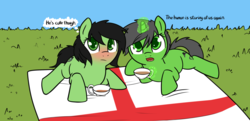 Size: 2788x1348 | Tagged: safe, artist:neuro, oc, oc:filly anon, earth pony, pony, unicorn, anon pony, blushing, cup, duo, english flag, female, filly, flag, food, tea, teacup, text