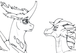 Size: 1280x905 | Tagged: safe, artist:nightmare-moons-throneroom, spike, thorax, changedling, changeling, dragon, g4, adult, adult spike, black and white, blushing, ear fluff, floppy ears, gay, grayscale, king thorax, lineart, looking at each other, male, monochrome, older, older spike, ship:thoraxspike, shipping, simple background, smiling, spikelove, sweat, sweatdrop, white background