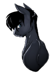 Size: 2012x2713 | Tagged: safe, artist:ilucky7, oc, oc only, oc:rook, pony, bust, high res, male, portrait, simple background, solo, stallion, transparent background