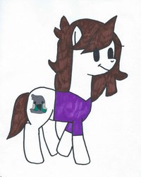 Size: 786x982 | Tagged: safe, artist:dachosta, artist:jaiden animations, bird, pony, crossover, jaidenanimations, marker drawing, ponified, solo, traditional art, youtube, youtuber